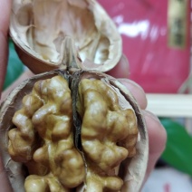 核桃