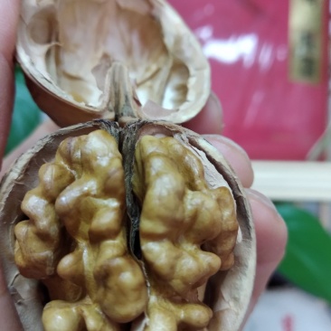 核桃