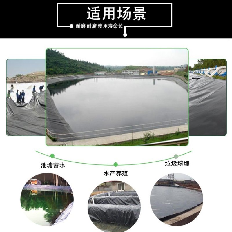 土工防渗膜鱼塘专用防渗膜批发