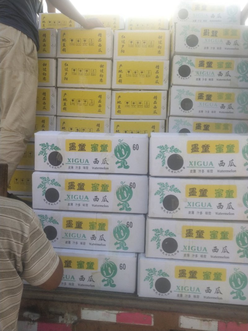 密童无籽西瓜