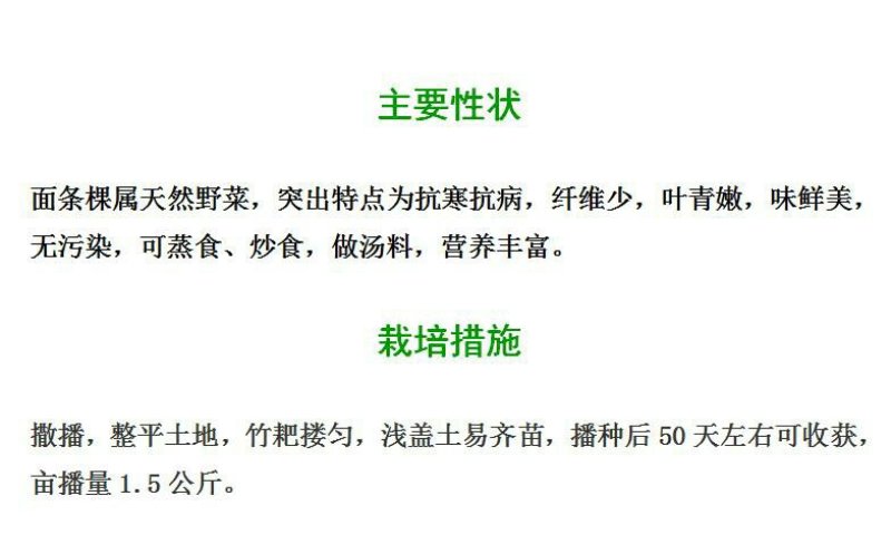 面条菜种籽野菜种子，农家蔬菜种子，批发零售量大优惠