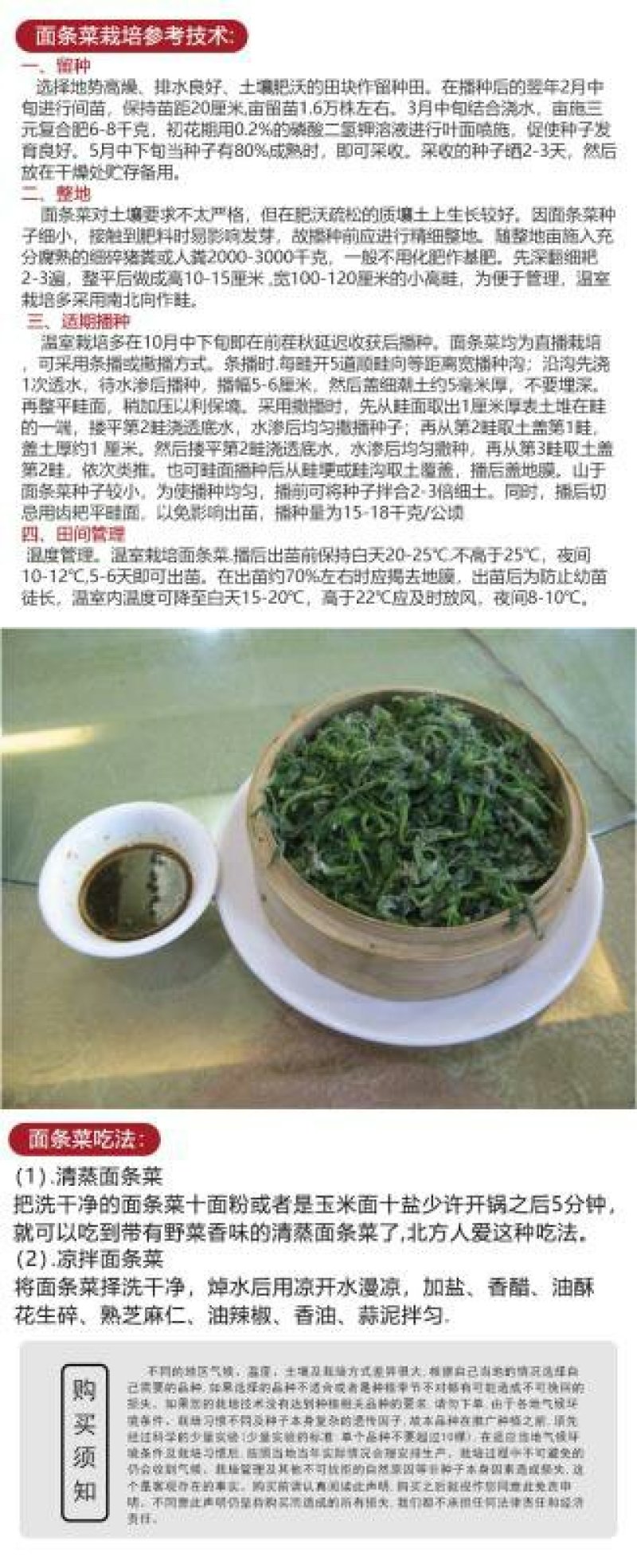 面条菜种籽野菜种子，农家蔬菜种子，批发零售量大优惠