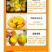 广西精品芒果