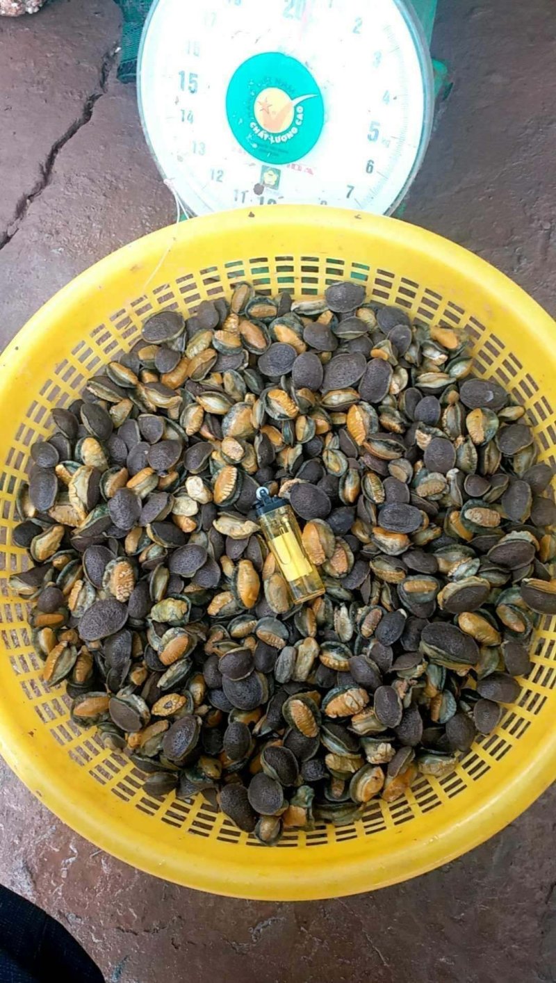 石磺