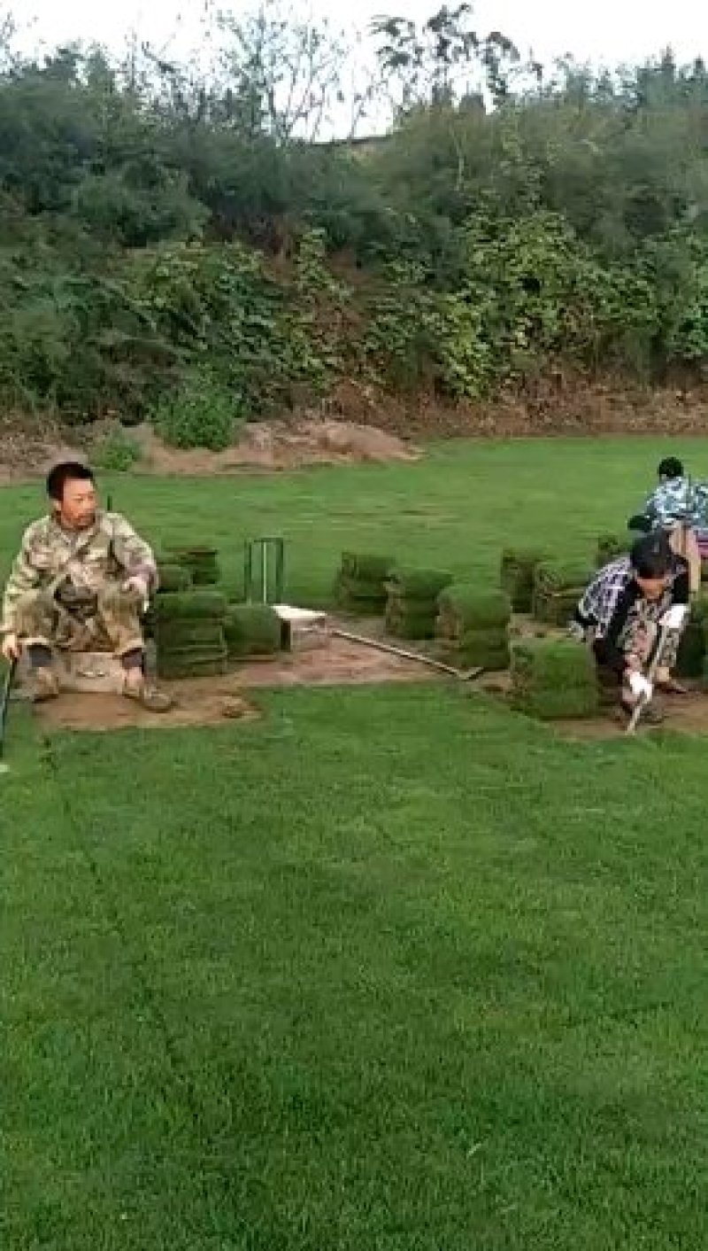 我，郴州市苏仙区清江花卉苗木草皮种植专业合作社大量出售各