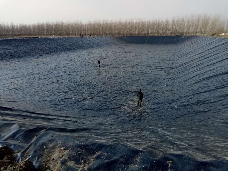 土工布土工膜复合土工膜生产厂家