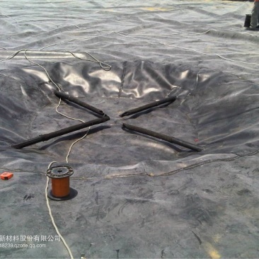 土工布土工膜复合土工膜生产厂家