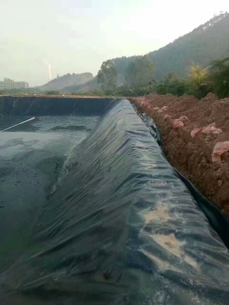 土工布土工膜复合土工膜生产厂家
