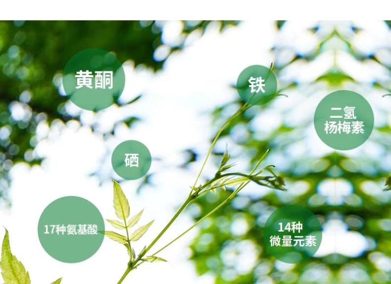 张家界特产，莓茶