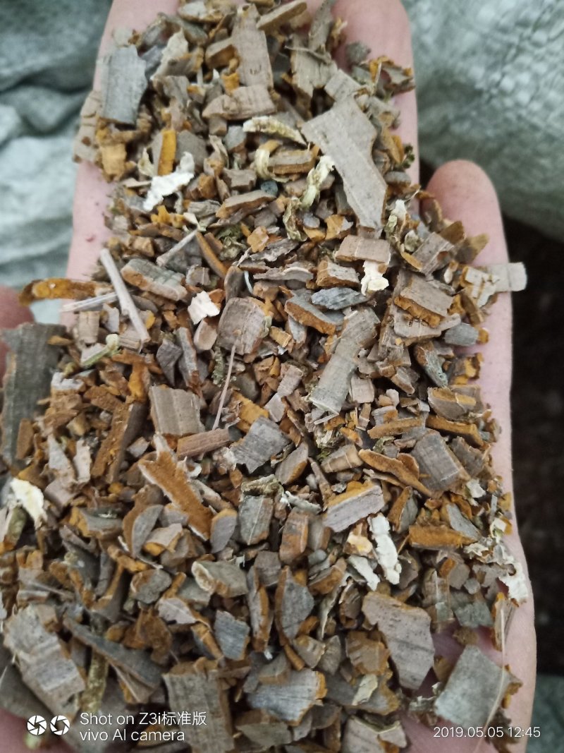 鬼箭羽纯野生鬼箭羽全颗
