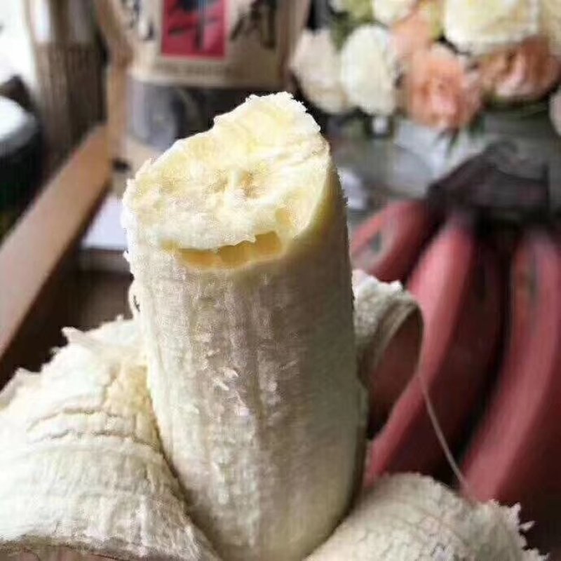 红美人香蕉