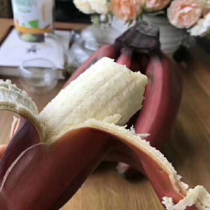 红美人香蕉