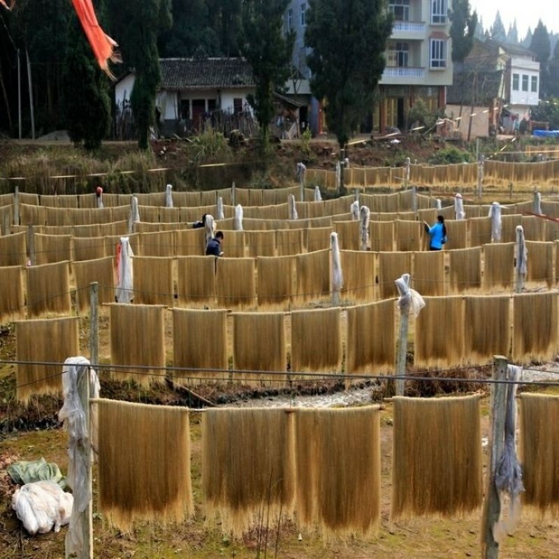 安岳纯手工红薯粉条