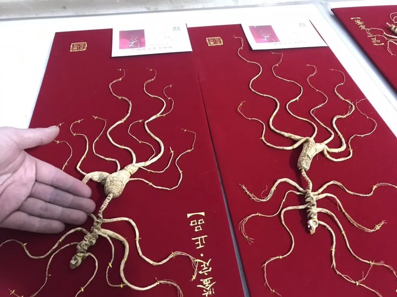【长白山野山参精品礼盒，中国红皮礼盒，60厘米