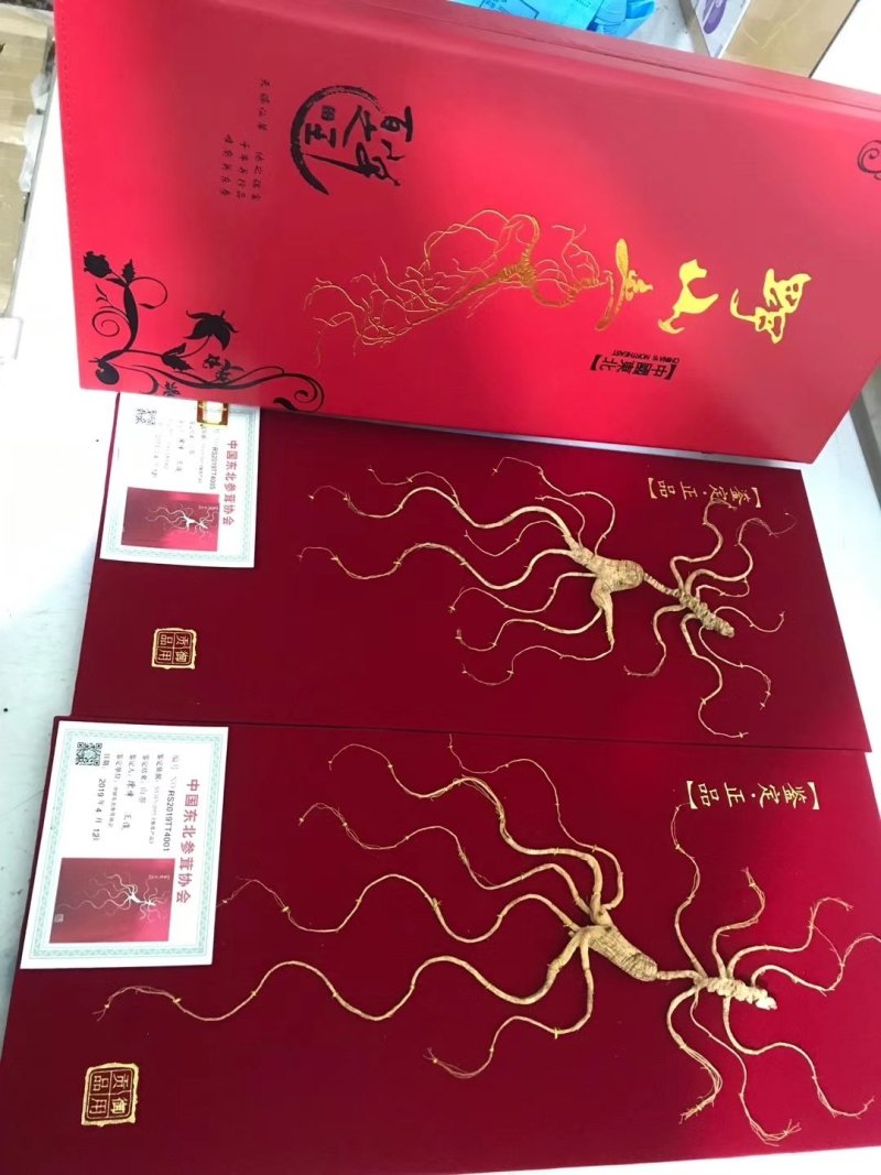 【长白山野山参精品礼盒，中国红皮礼盒，60厘米