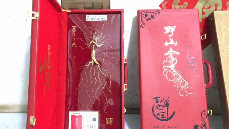【长白山野山参精品礼盒，中国红皮礼盒，60厘米