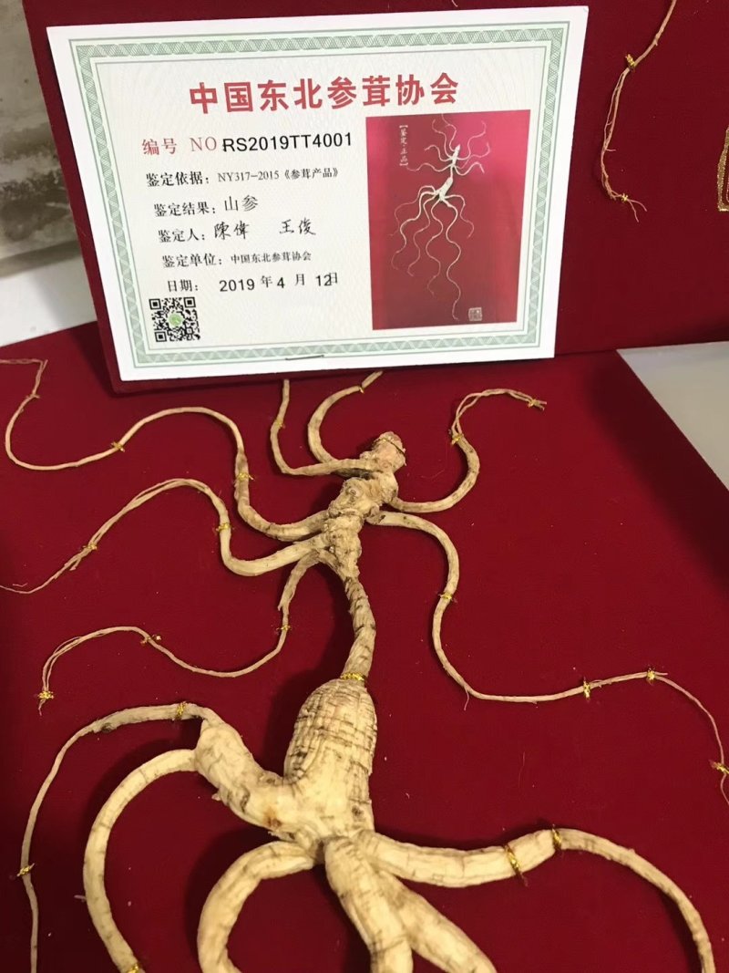 【长白山野山参精品礼盒，中国红皮礼盒，60厘米
