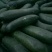 黑皮冬瓜-基地直供-货源充足-保证质量。
