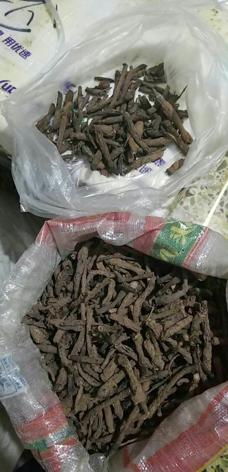 宜宾红皮仙茅