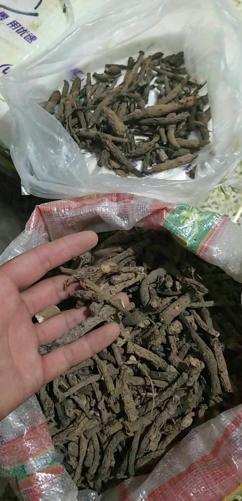 宜宾红皮仙茅