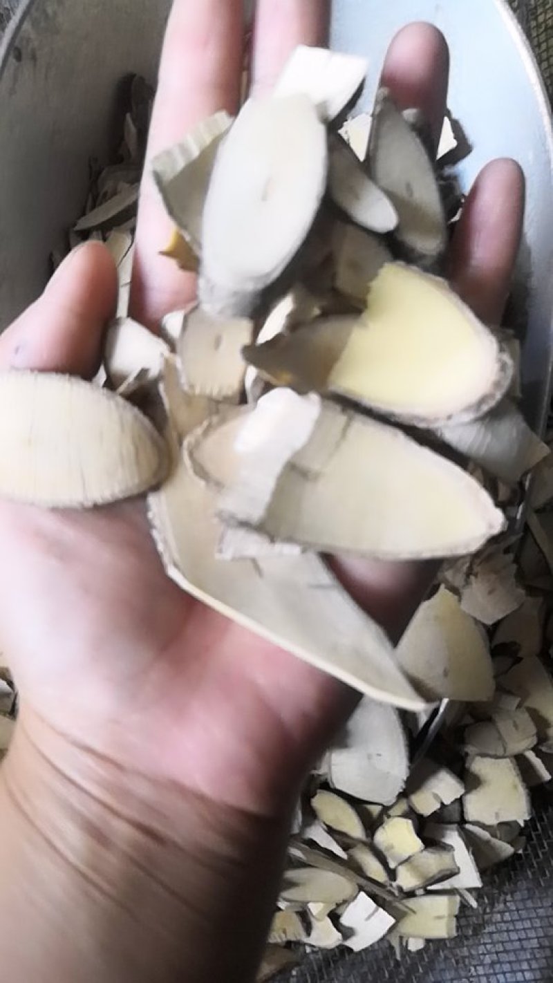 东风桔