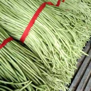 长豆角长豇豆新鲜上市大量