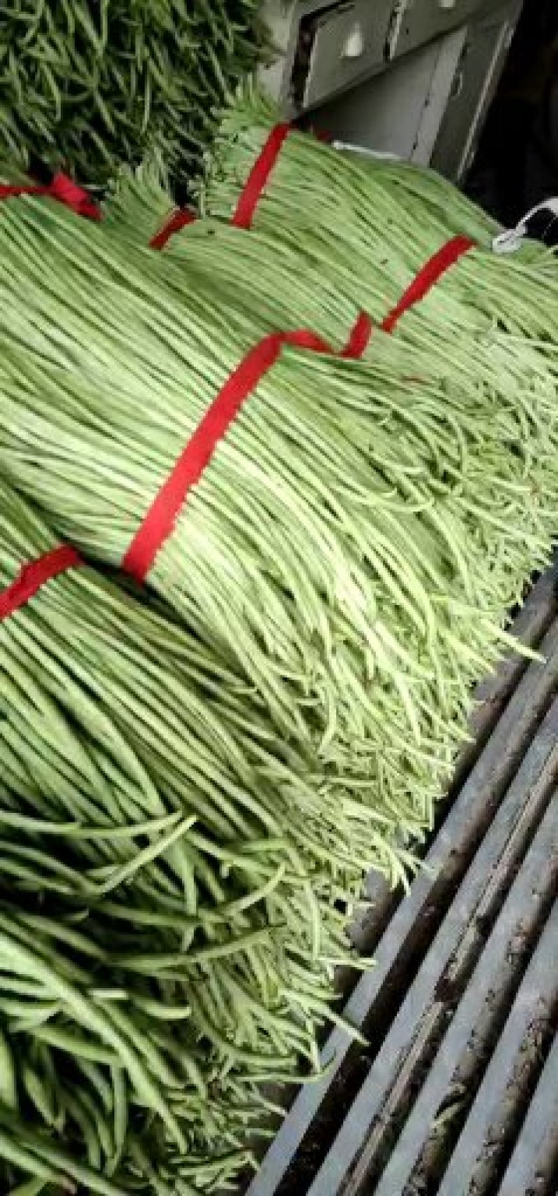 长豆角长豇豆新鲜上市大量
