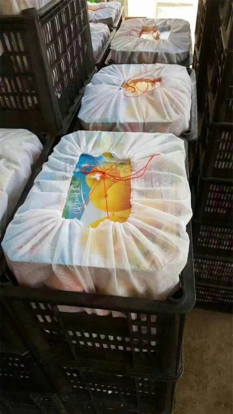 无纺布水果筐内衬袋现货供应，量大从优。