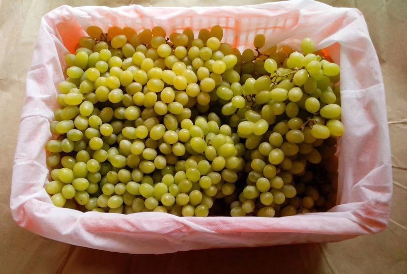 无纺布水果筐内衬袋现货供应，量大从优。