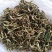 金银花产地价需要的请下单