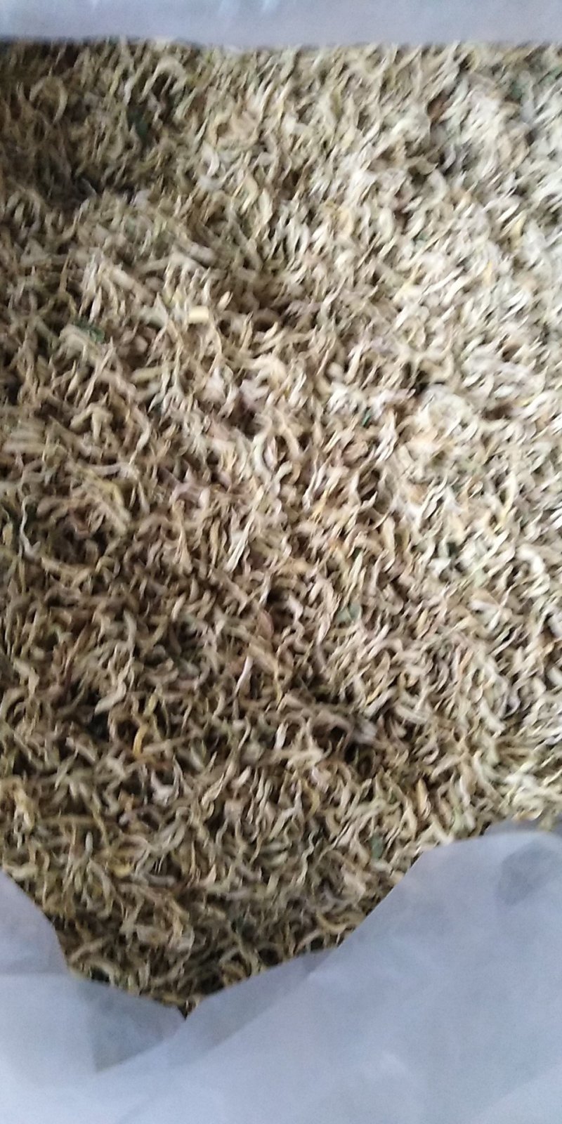 金银花产地价需要的请下单
