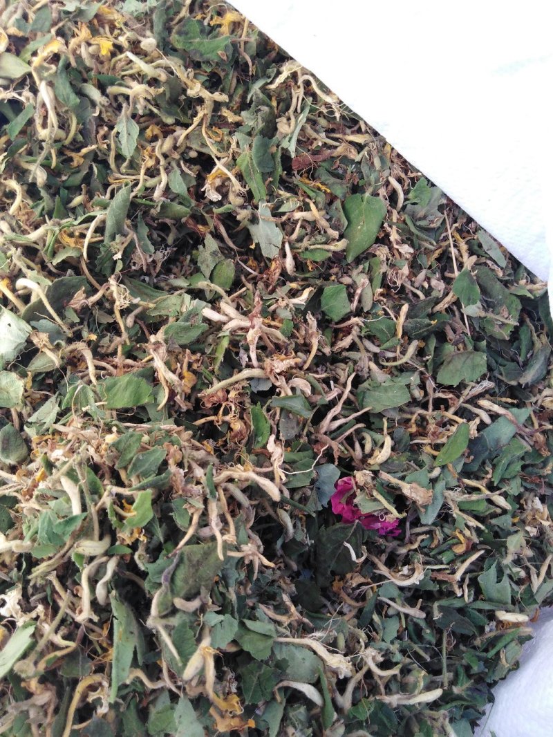 金银花产地价需要的请下单