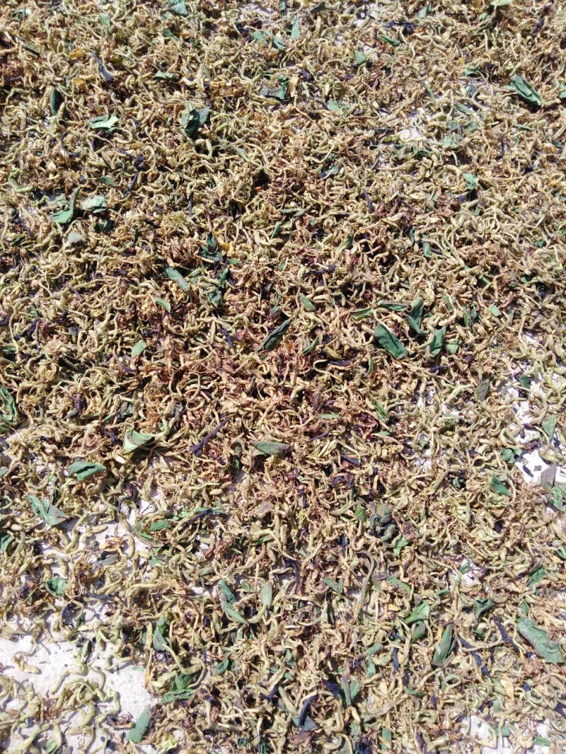 金银花产地价需要的请下单