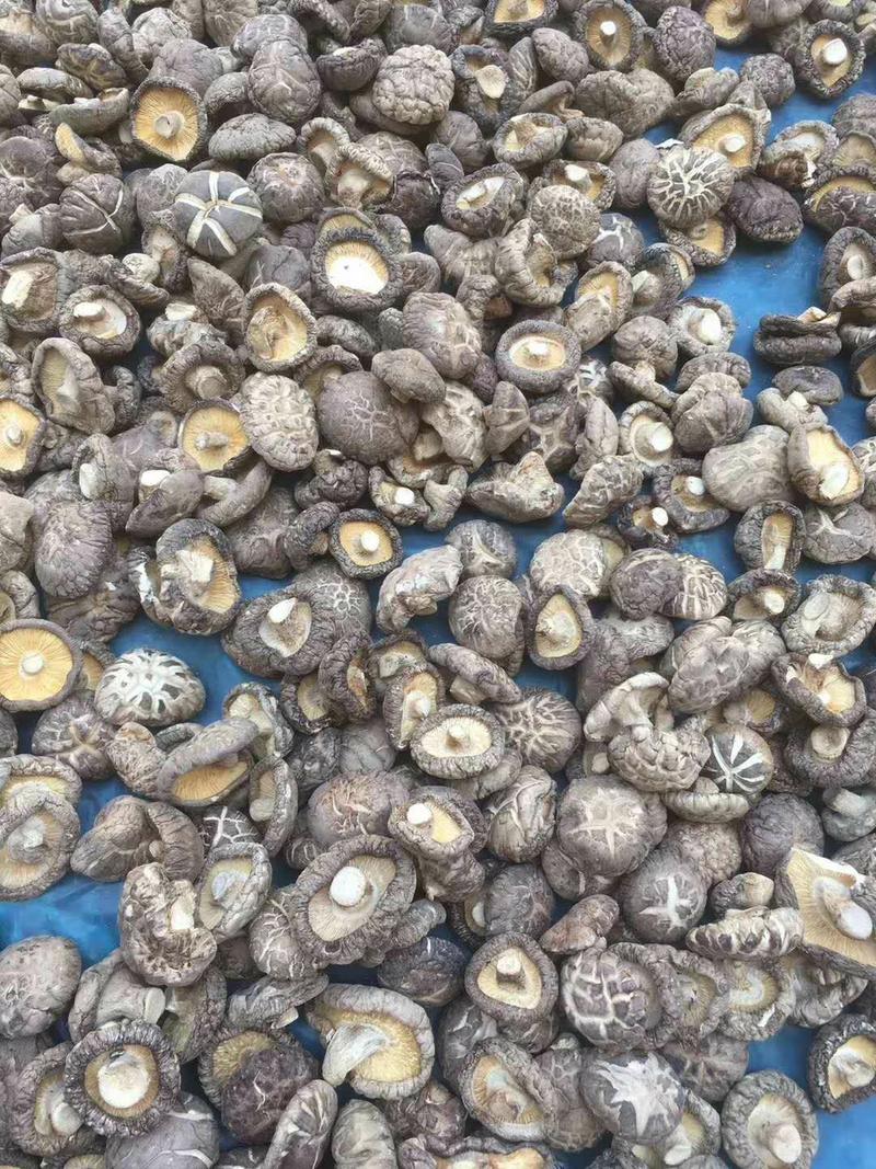 优质花菇大量供货50斤起批常年经营保证质量