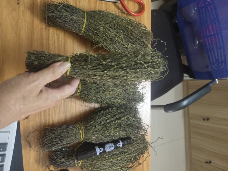 独脚金