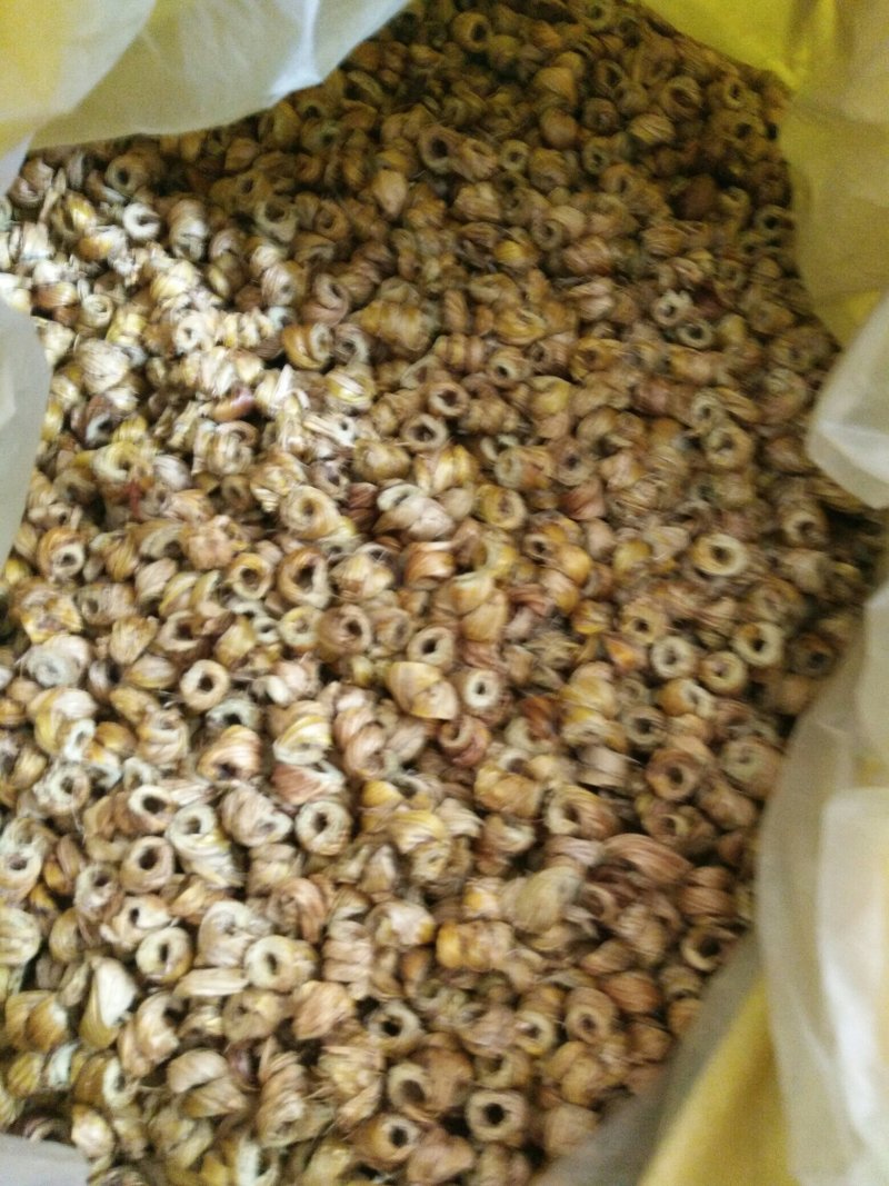 枫斗铁皮石斛金线莲