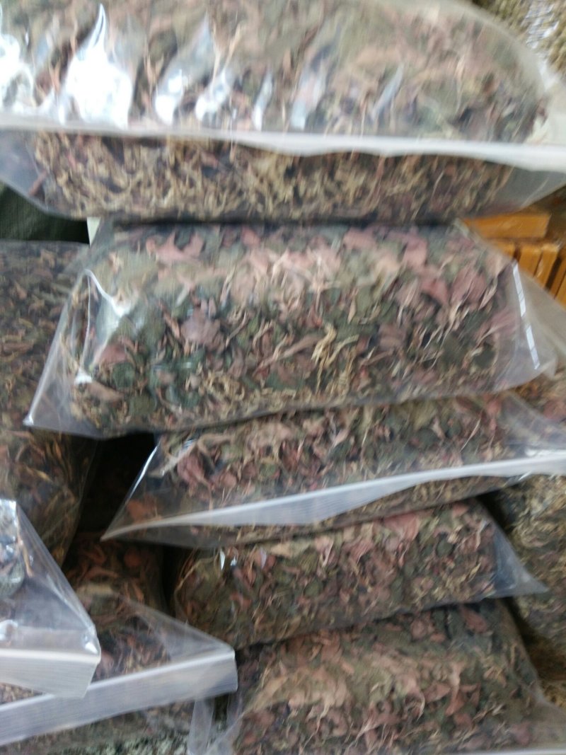 枫斗铁皮石斛金线莲
