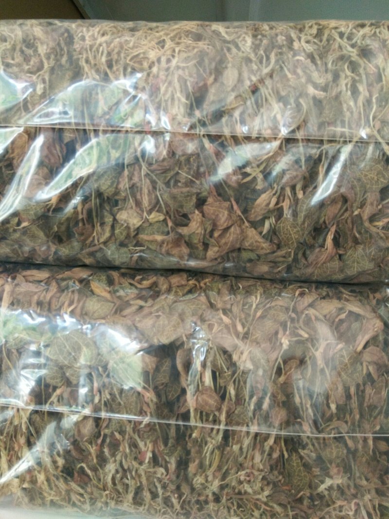 枫斗铁皮石斛金线莲