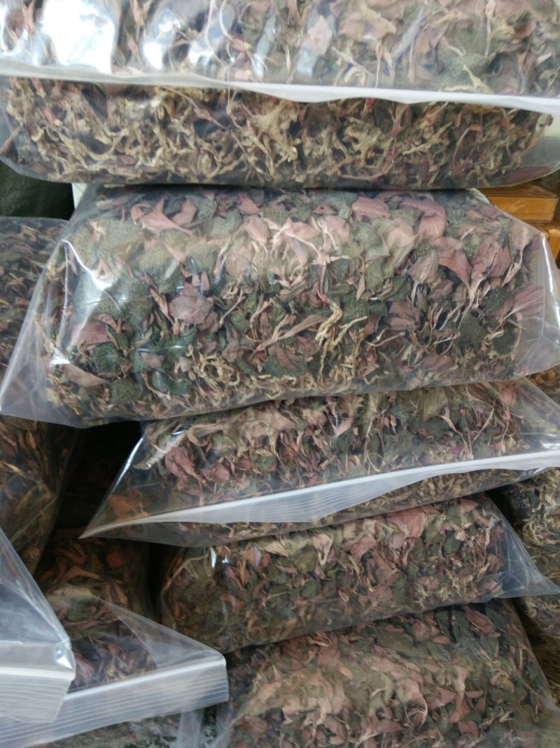 枫斗铁皮石斛金线莲