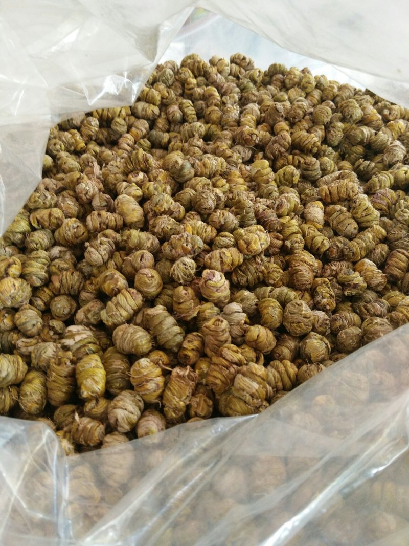 枫斗铁皮石斛金线莲