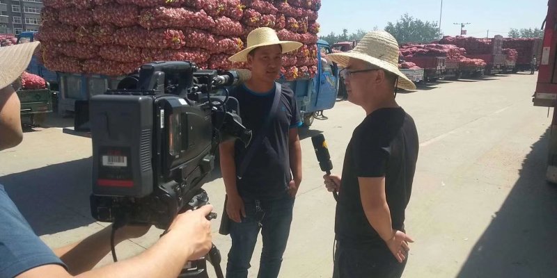 金乡县大蒜批发总公司.代加工保质保量产地直发