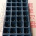 育苗基质穴盘，质量保证数量足！尺寸保准54厘米x28厘米