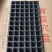 育苗基质穴盘，质量保证数量足！尺寸保准54厘米x28厘米