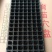 育苗基质穴盘，质量保证数量足！尺寸保准54厘米x28厘米