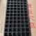 育苗基质穴盘，质量保证数量足！尺寸保准54厘米x28厘米