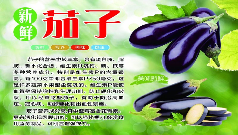航天茄子，长紫茄，