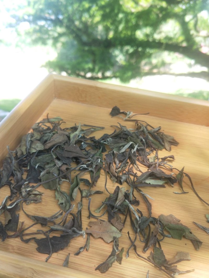 福鼎白茶老寿眉7两饼成本批发