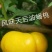 【油蟠桃桃树苗基地】风味天后晚熟油蟠桃树苗油蟠新品种