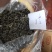 回龙茶