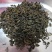 回龙茶